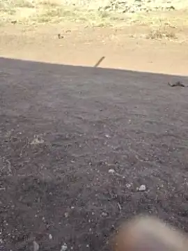 PrivateMeetX online show from April 26, 3:59 am