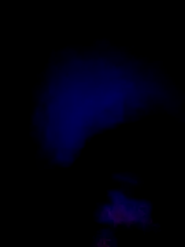 061190 online show from February 28, 3:44 pm