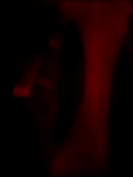 degeneradicto online show from March 12, 4:42 am