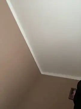 mw6667 online show from February 18, 2:58 pm