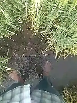 Cute Boy 4 online show from February 10, 3:22 am