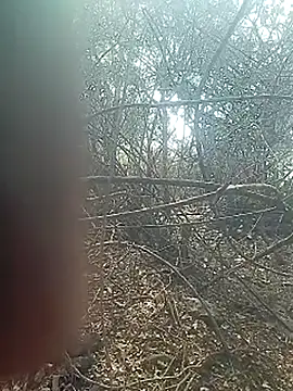 Cute Boy 4 online show from February 27, 8:04 am