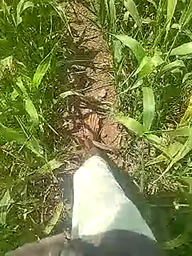 Cute Boy 4 online show from March 31, 6:48 am