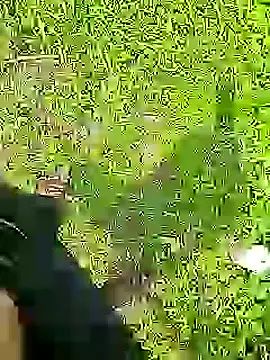 Cute Boy 4 online show from July 19, 8:42 am