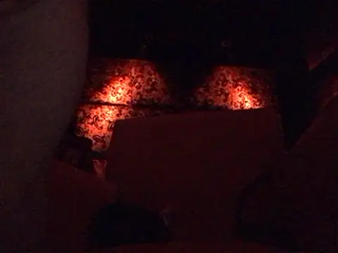 Snapshot of BroodedUlster chatting on May 30, 12:32 am BroodedUlster online show from May 30, 12:32 am
