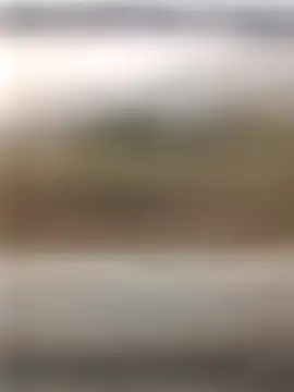 maharashtra boy mh19 online show from February 19, 12:01 pm