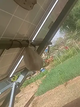 mastmalai online show from March 17, 4:37 am