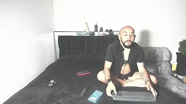 King bear 25 online show from February 23, 11:34 am