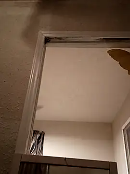 pfjr online show from March 4, 10:00 am