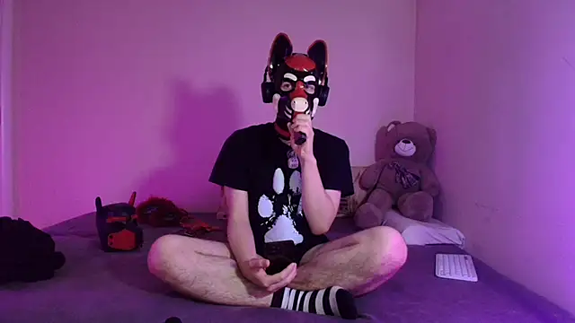 K9 GoodBoy online show from March 28, 7:36 pm