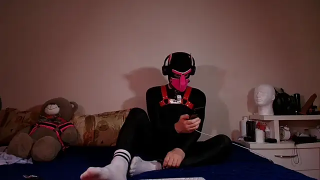 K9 GoodBoy online show from June 7, 3:24 am
