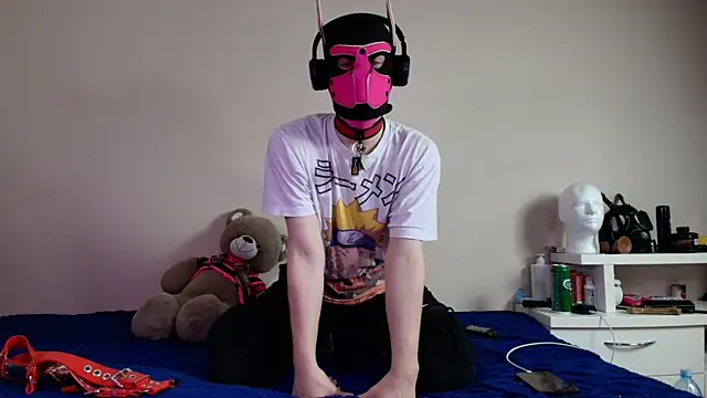K9 GoodBoy online show from June 12, 5:22 pm