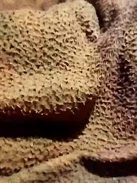 vishnu287 online show from February 23, 2:41 pm