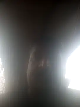 siva6703 online show from March 7, 9:51 am