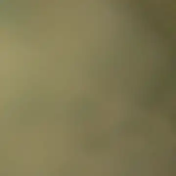 eze pg online show from March 5, 7:10 pm