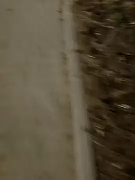 MarekPublicShow online show from March 3, 9:43 pm