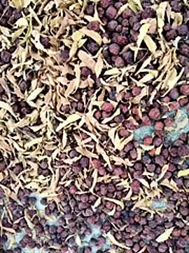 Desii rockstarr online show from March 17, 11:24 am