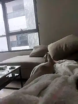 junzi0877 online show from March 16, 3:13 am