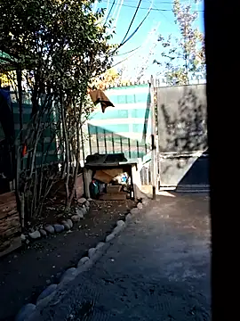 luiy1998 hot online show from April 21, 8:15 pm