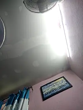 rexo 12 online show from March 27, 7:23 am