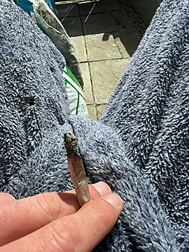 BrightonFreeFun69 online show from March 26, 1:04 pm