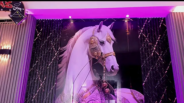 the knights of the night  online show from May 15, 6:43 am