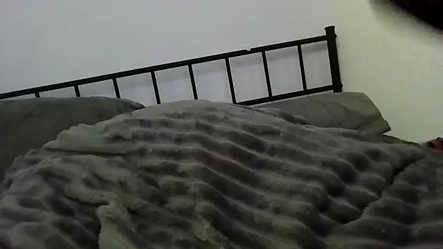 subcdpet online show from April 7, 10:43 pm