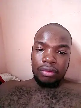 Veewise online show from April 14, 1:00 pm