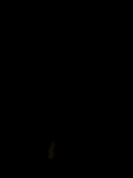 BoskiNorbert online show from July 17, 11:55 pm