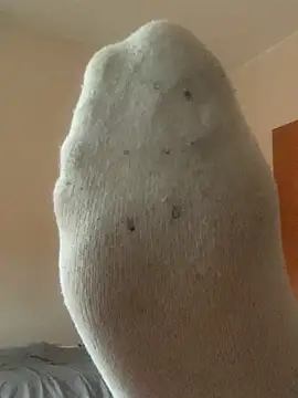 feetG24 online show from July 15, 3:51 pm
