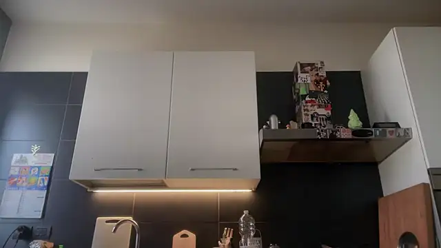 theitalianbear online show from January 10, 9:13 am