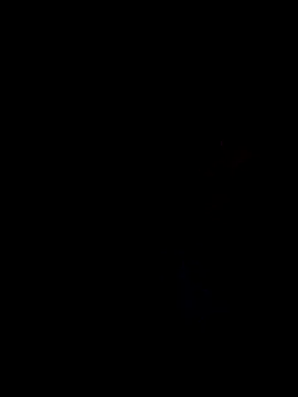 6crimson6 online show from January 24, 1:24 am