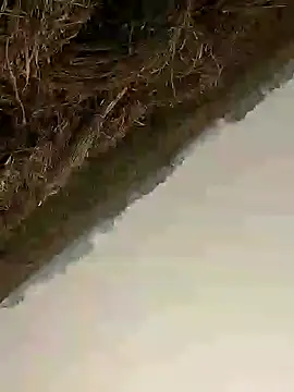 ThethunderPo online show from November 16, 4:36 am