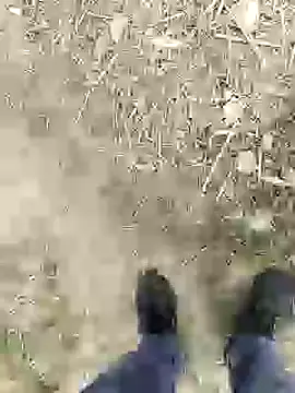 ThethunderPo online show from January 4, 2:46 pm