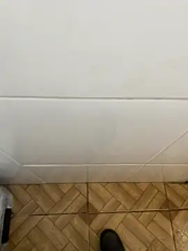 descret 19 online show from February 11, 2:55 pm