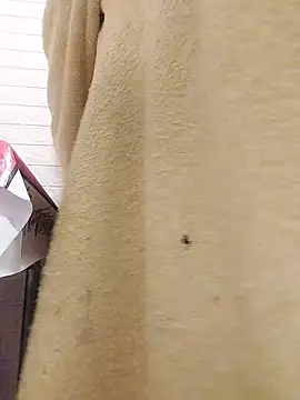 david geam online show from February 3, 2:47 am