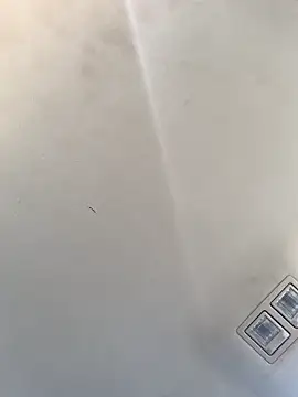 Snapshot of Tristris100 chatting on December 23, 8:14 pm Tristris100 online show from December 23, 8:14 pm