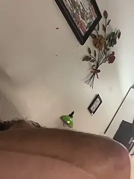 Trainee2Bpeed online show from October 22, 9:46 am