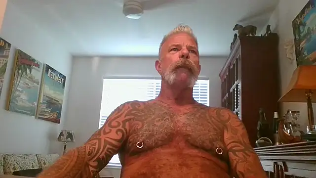 njdbear online show from November 1, 9:19 pm