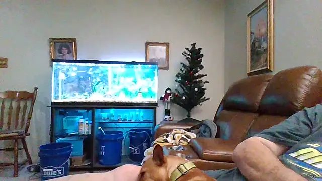 1964peterbilt1 online show from December 30, 1:48 am