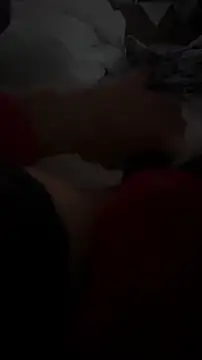 petuletra online show from December 4, 1:01 am