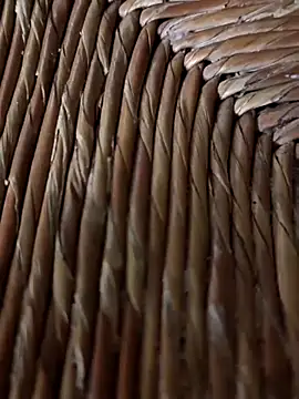 sile2000nou online show from November 30, 4:58 am