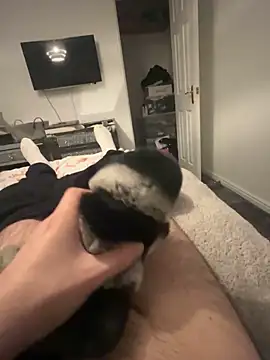 Furdale online show from January 31, 6:14 pm