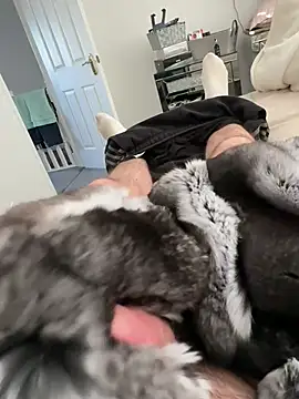 Furdale online show from March 3, 3:30 pm