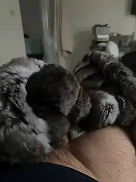 Furdale online show from February 24, 4:52 pm