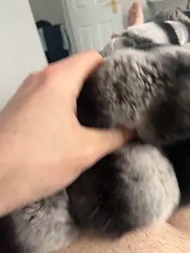 Furdale online show from December 2, 12:38 pm