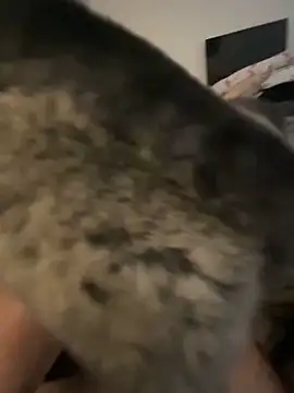 Furdale online show from February 8, 9:56 am