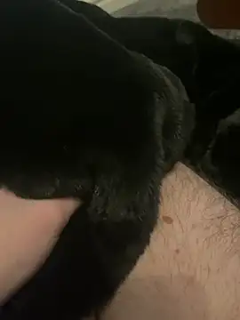 Furdale online show from December 9, 5:46 pm