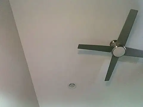 Londonfrotadejr online show from March 7, 12:45 pm