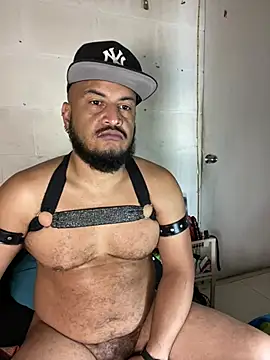 the master foal  online show from May 28, 1:20 pm